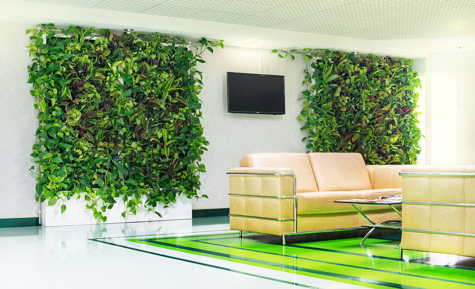 Живые стены из растений в интерьере (40 фото)